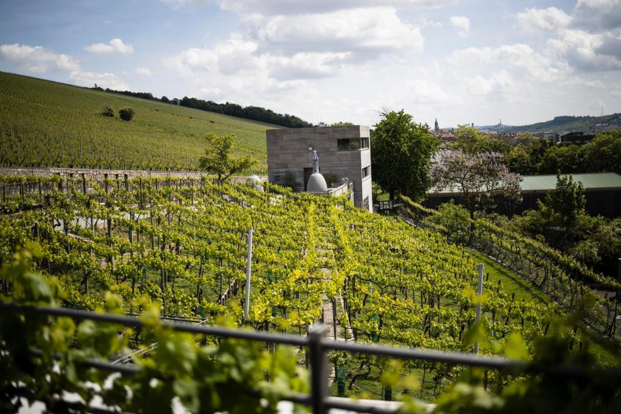 Gästehaus im Weingut am Stein Würzburg Exterior foto